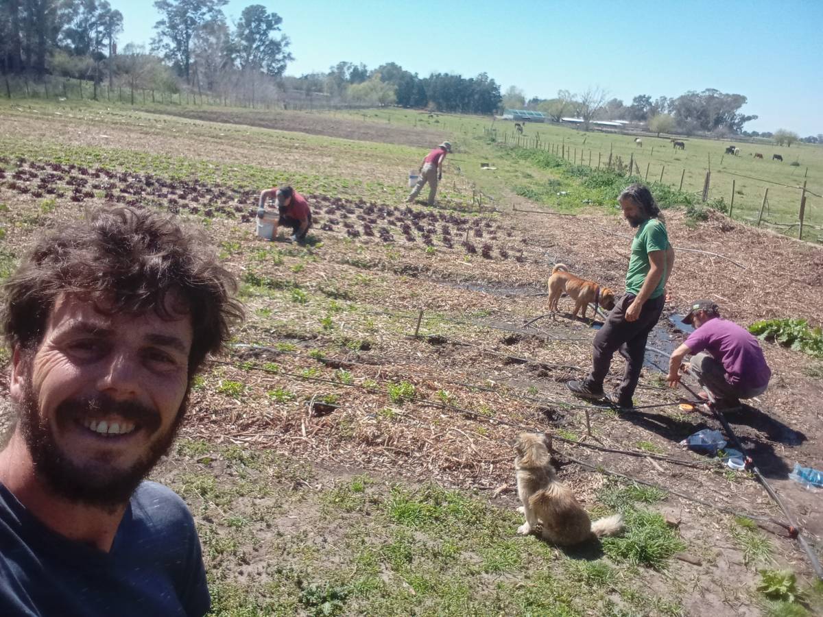 Movimiento Consciente - Oficios