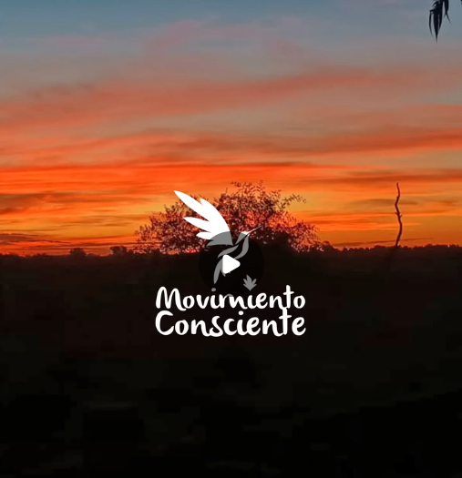 Festival Movimiento Consciente!