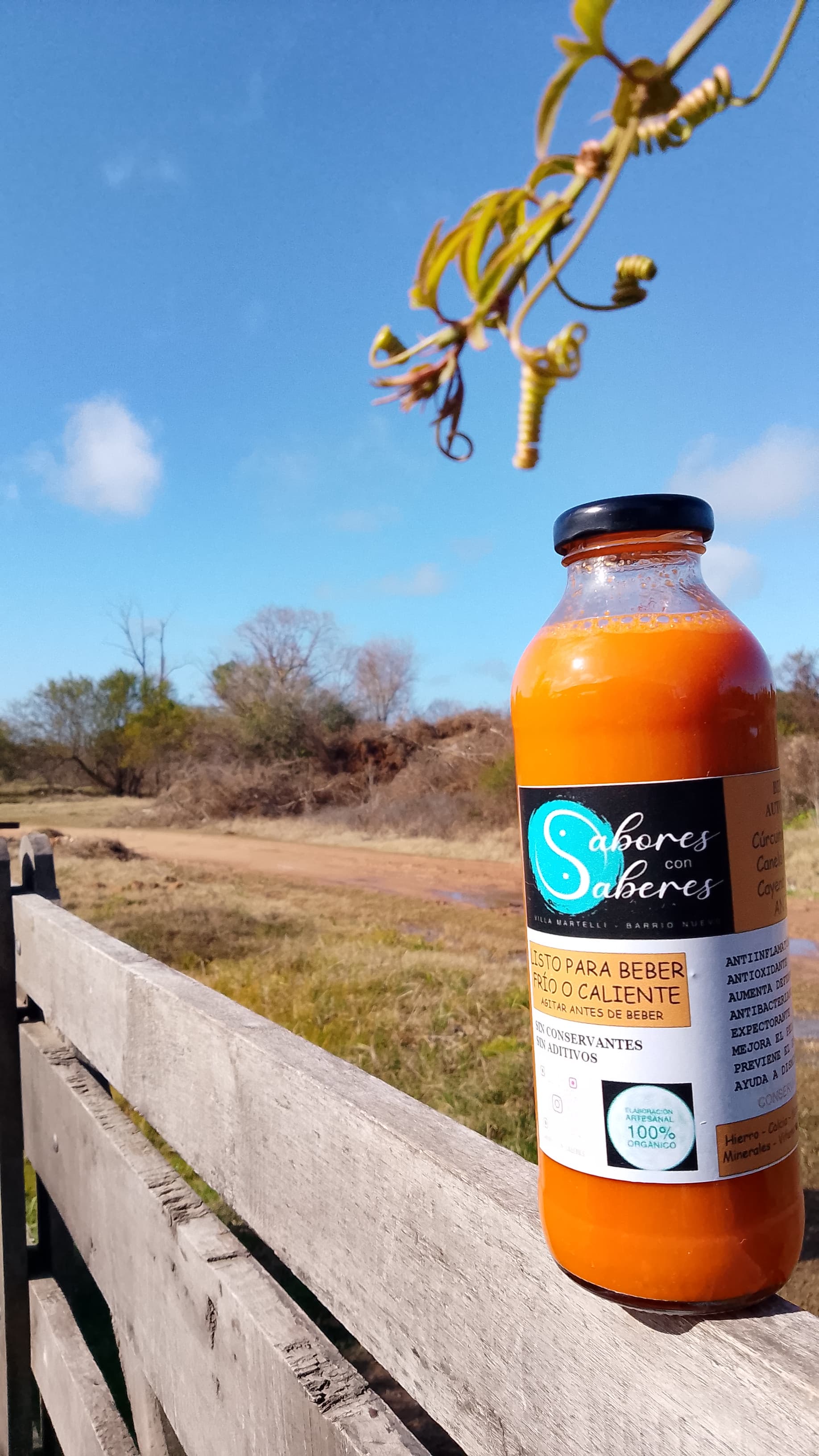 Jugo de zanahoria