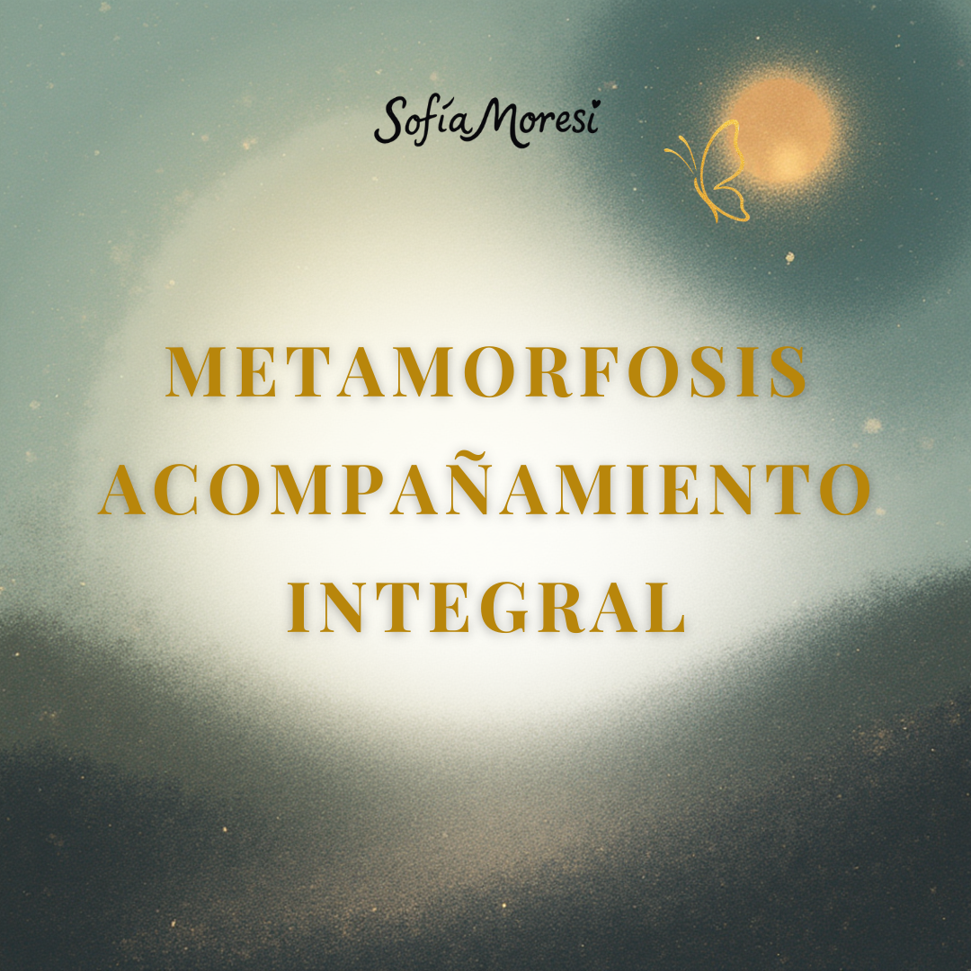 Metamorfosis - Acompañamiento terapéutico Integral