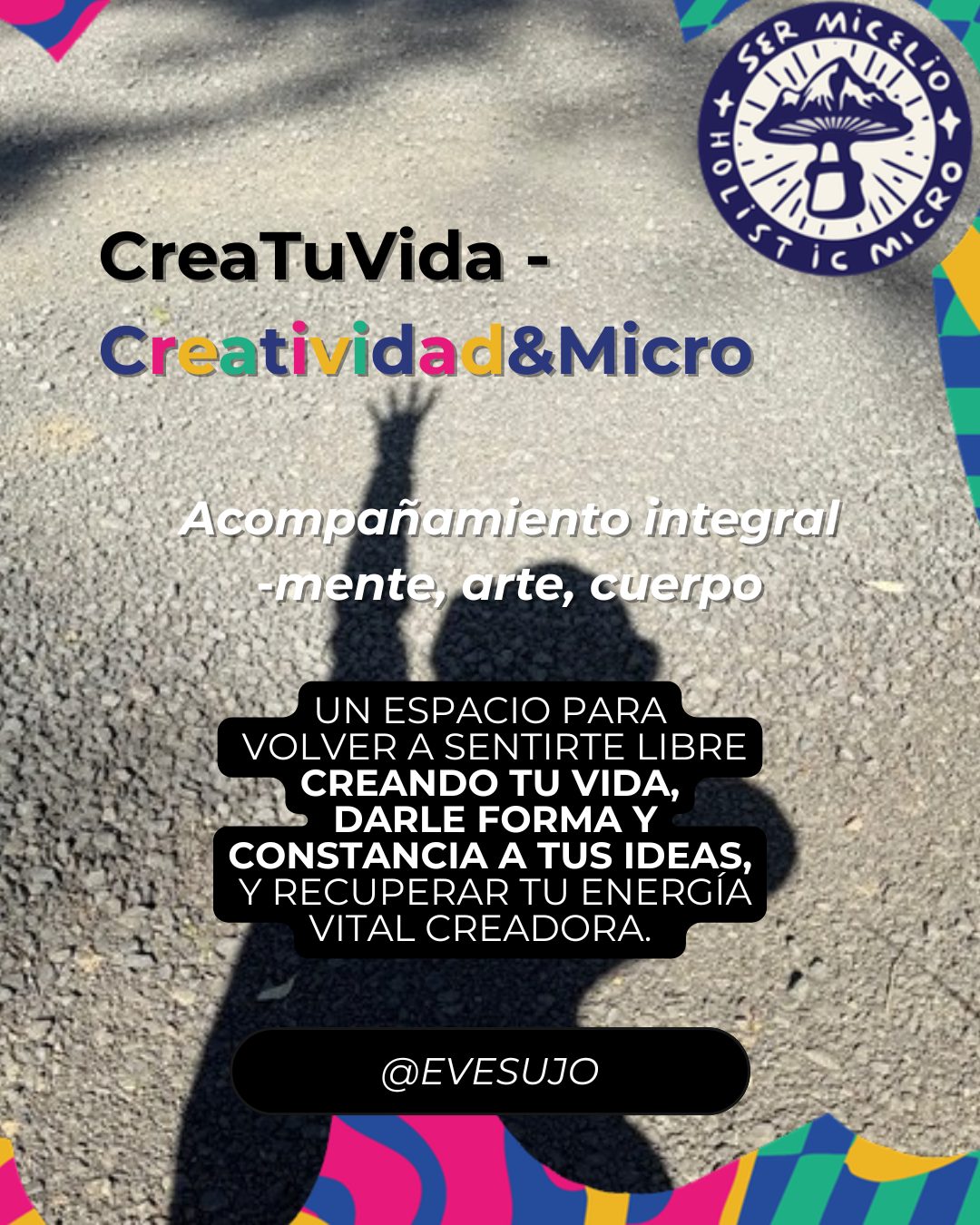 HolisticMicro - Acompañamiento en el proceso